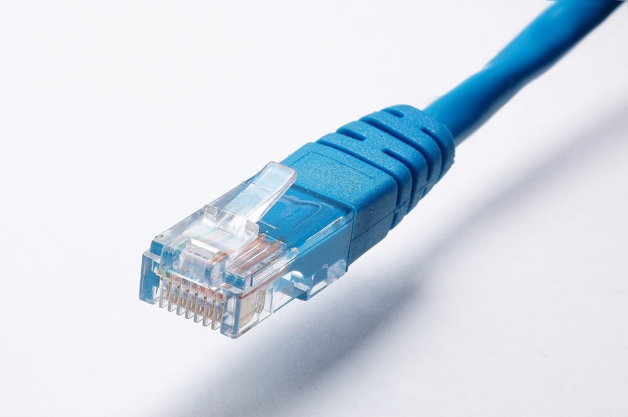 network cable, network, cable-2245837.jpg